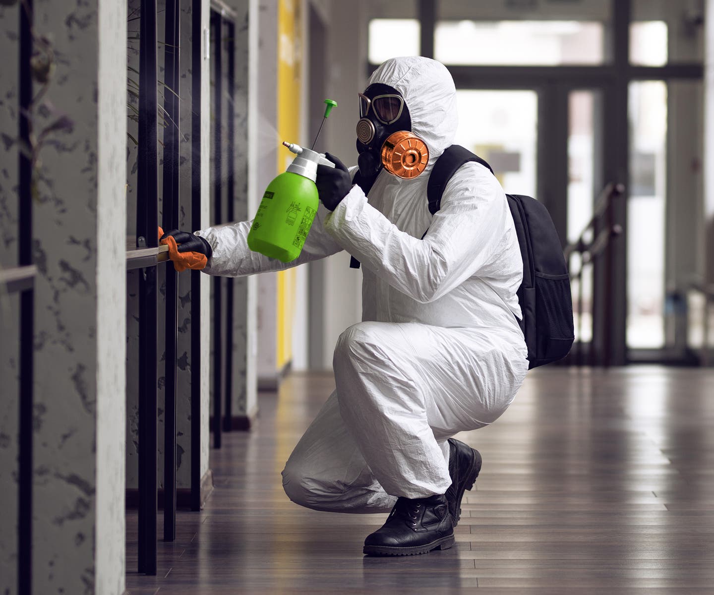 Professional Restoration Company – mold remediation clarksville austin tx