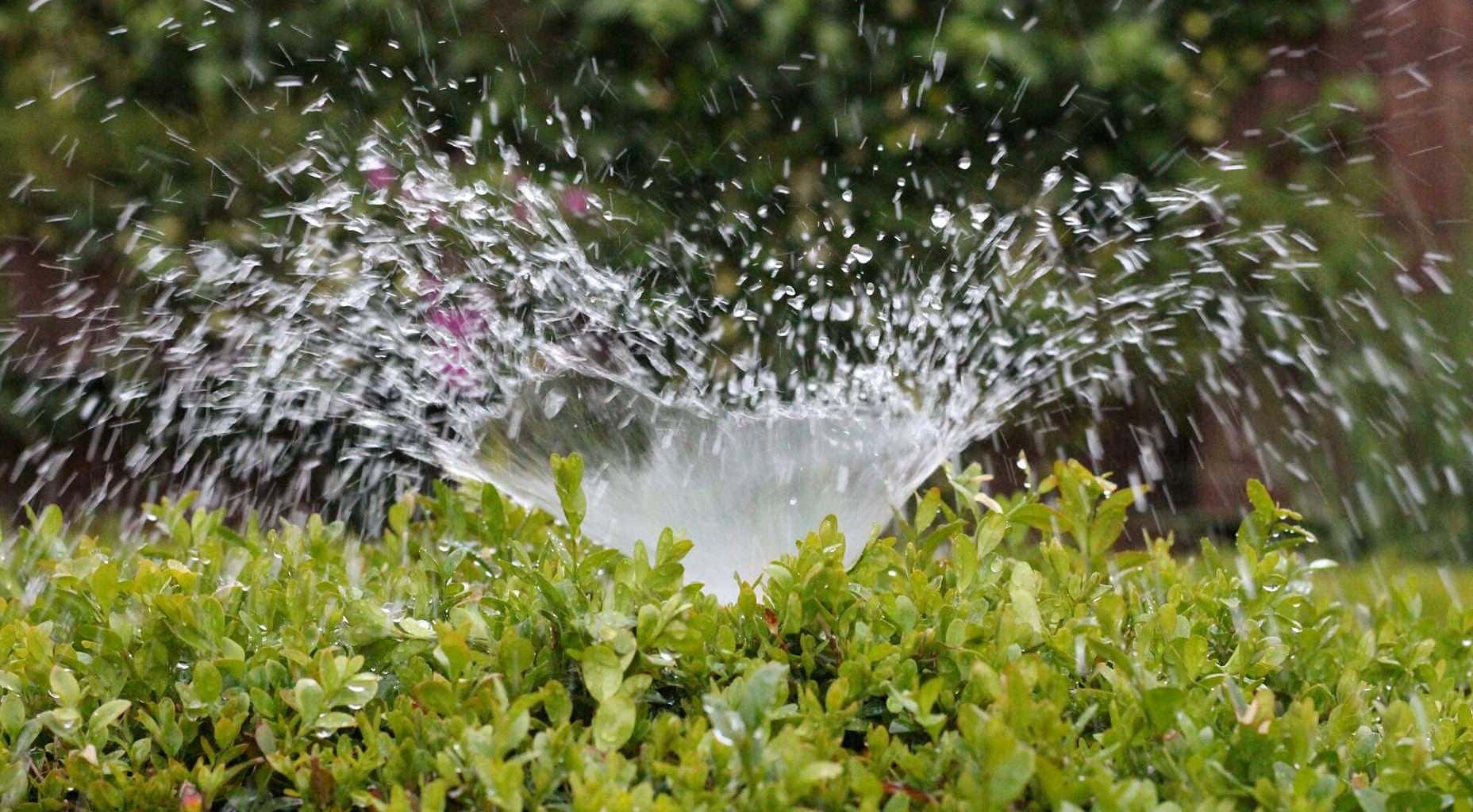 Professional Irrigation Services in Willow Park, TX for Healthy Green Lawns
