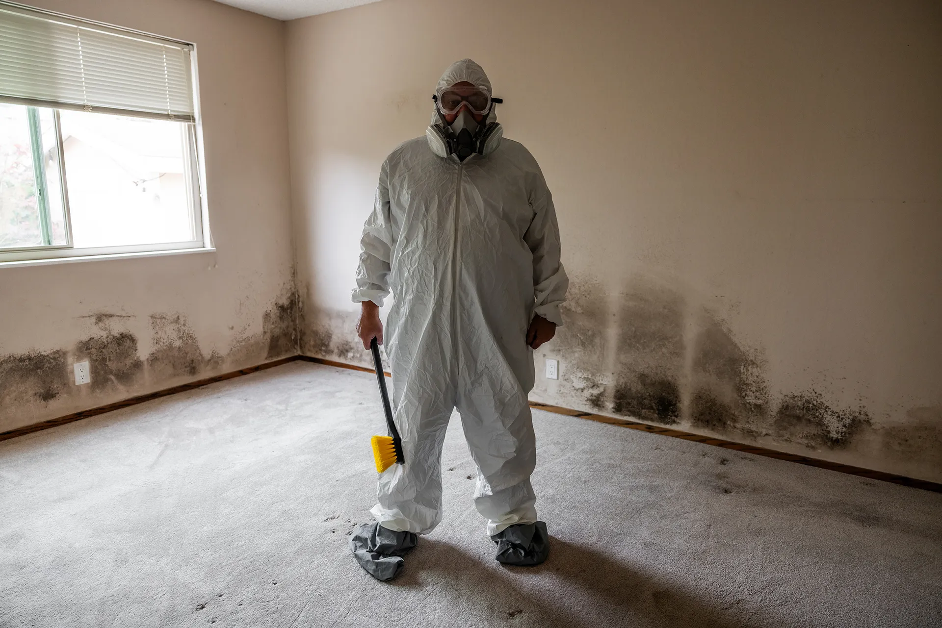 Professional Restoration Company – mold remediation clarksville austin tx