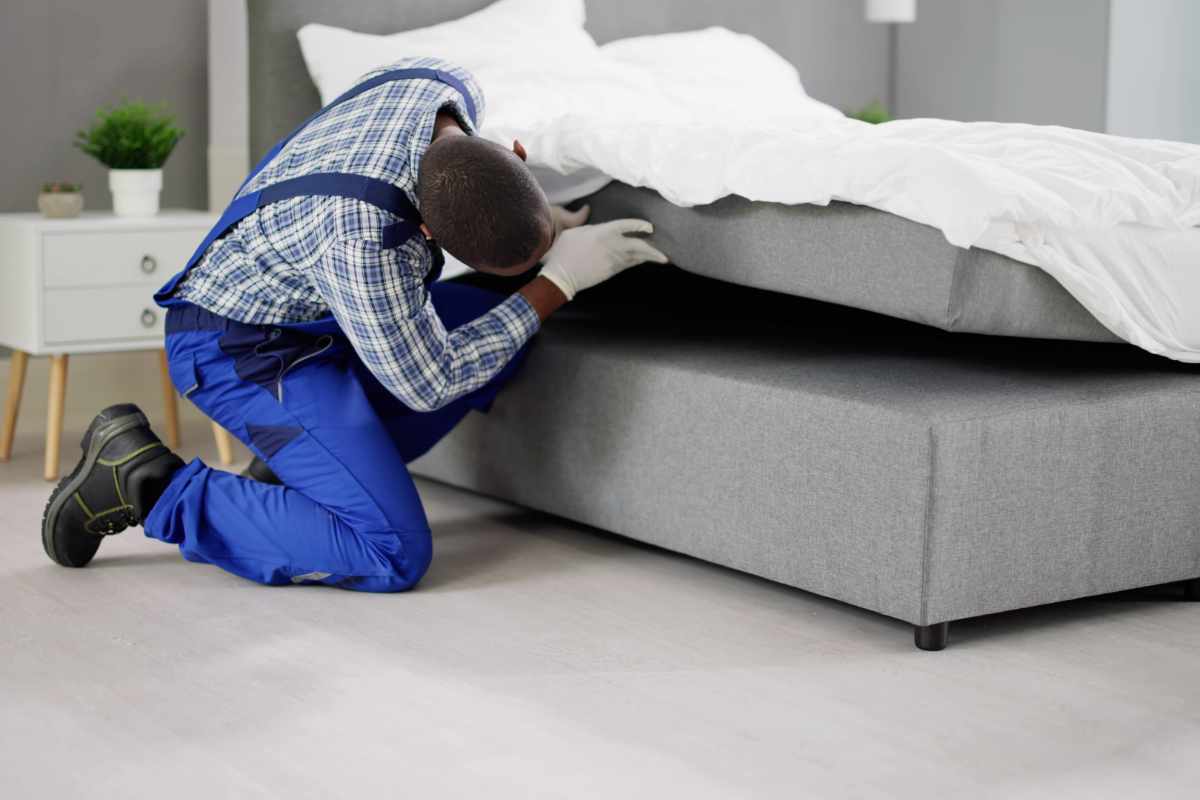 Mattress Cleaning Dubai – Certified & Insured Cleaning Experts