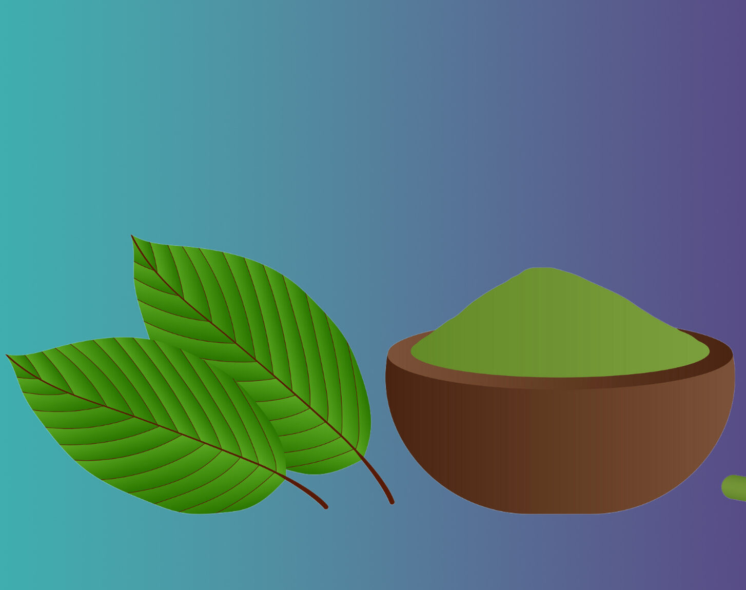 Herbal Wellness Tea Chiang Mai: Crafted for Mind and Body