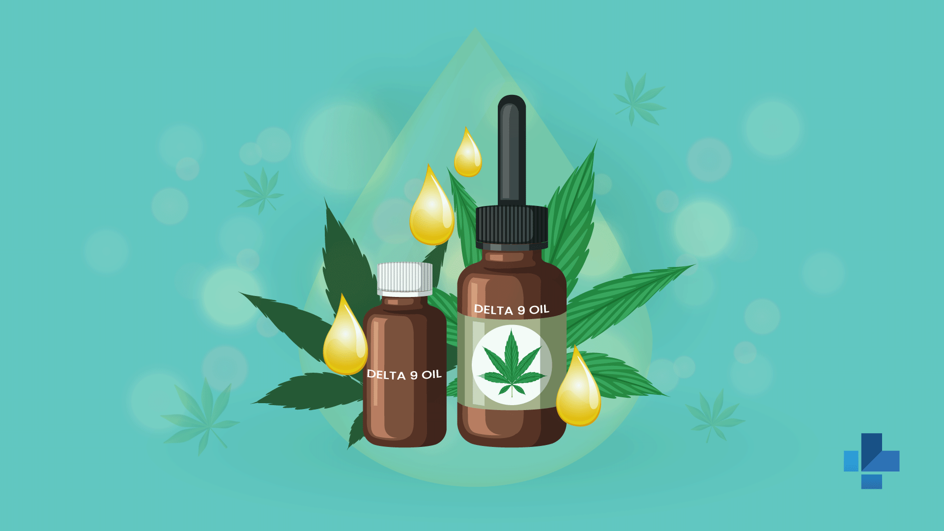 HOW CANNABIS DELIVERY SERVICES ARE CHANGING URBAN LOGISTICS